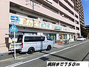 【総合病院】あんどう皮フ科まで750ｍ