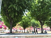 【公園】西山公園まで900ｍ