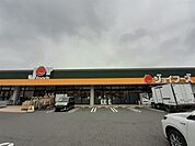 【スーパー】ジョイフーズ伊勢崎上諏訪店まで400ｍ