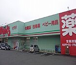 【ドラッグストア】ウォンツまで800ｍ