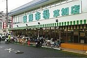 【スーパー】新鮮市場草加店まで700ｍ