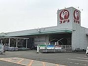 【ホームセンター】コメリまで2400ｍ