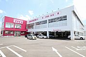 【ドラッグストア】コスモス川下店まで450ｍ