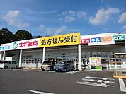 【ドラッグストア】スギドラッグ東御幸店まで1300ｍ