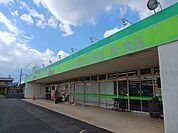 【ドラッグストア】ジップドラッグ白子店まで700ｍ