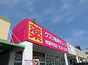 【ドラッグストア】岩崎チェーン平田店まで800ｍ