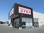【ドラッグストア】コスモス旭町店まで800ｍ