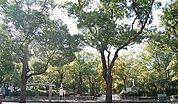 【公園】高松中央公園さんまで2500ｍ