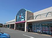 【スーパー】アルク中関店まで900ｍ