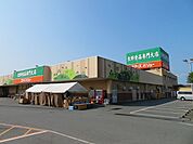 【スーパー】ユアーズバリュー右田店まで800ｍ