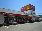 【ドラッグストア】クスリ岩崎チェーン新地店まで4600ｍ