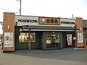 【その他】吉野家まで300ｍ