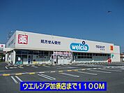 【ドラッグストア】ウエルシア加須店まで1100ｍ