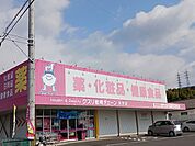 【ドラッグストア】クスリ岩崎チェーン光井店まで850ｍ
