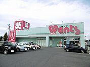 【ドラッグストア】ウォンツ柳井店まで1100ｍ