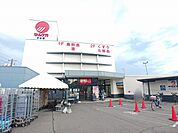【郵便局】マルナカ木太店さんまで1600ｍ
