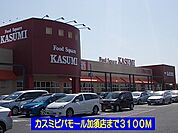 【スーパー】カスミビバモール加須店まで3100ｍ