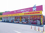 【ドラッグストア】クスリ岩崎チェーン永源山公園店まで210ｍ