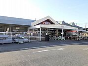 【ホームセンター】ＤＣＭ北吉津店まで1600ｍ
