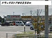 【ドラッグストア】スギ薬局まで250ｍ