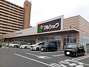【スーパー】マルショクまで550ｍ