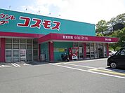 【ドラッグストア】コスモスまで800ｍ