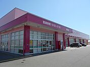 【ドラッグストア】ドラッグコスモス植松店まで500ｍ