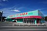 周辺：【ドラッグストア】コスモス　岡垣店まで280ｍ