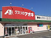 【ドラッグストア】クスリのアオキ藤木店まで1000ｍ