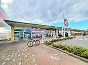 【スーパー】ヨークベニマル柴田店まで2100ｍ