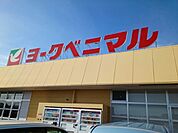 【スーパー】ヨークベニマル古川福浦店まで2200ｍ