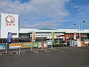 【ホームセンター】コメリハード＆グリーン 大和店まで1000ｍ