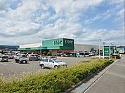 【スーパー】みやぎ生協大河原店まで1000ｍ