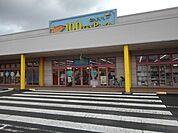 ダイソーマックスバリュ基山店まで650ｍ