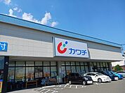【ドラッグストア】カワチ薬品愛子店まで800ｍ