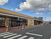 【スーパー】ヨークベニマル古川店まで1200ｍ