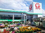 【ホームセンター】コメリハード＆グリーン志波姫店まで1600ｍ