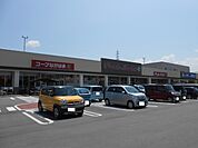 【スーパー】コープながはま店様まで520ｍ