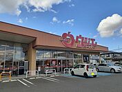 【スーパー】ウジエスーパー中里店まで600ｍ