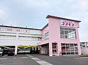 【ドラッグストア】コスモスベルロード店様まで950ｍ