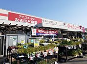 【ホームセンター】ダイシン古川店まで350ｍ