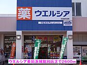 ウエルシア薬局茨城総和店まで2600ｍ