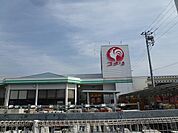 【ホームセンター】コメリまで750ｍ