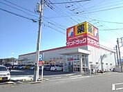 【ドラッグストア】サンドラッグ田富リバーサイド店まで1400ｍ