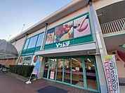 【スーパー】Ｙストア（ヨシヅヤ師勝店）まで650ｍ