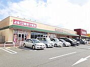 【スーパー】カスミ龍ヶ崎中里店まで2040ｍ