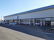 【ドラッグストア】カワチ薬品石下店まで140ｍ