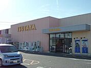 【レンタルビデオ】TSUTAYAまで550ｍ