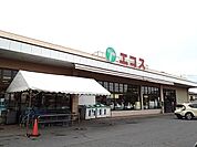 【スーパー】エコス下館岡芹店まで550ｍ