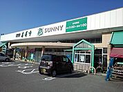 【スーパー】サニー善導寺店まで550ｍ